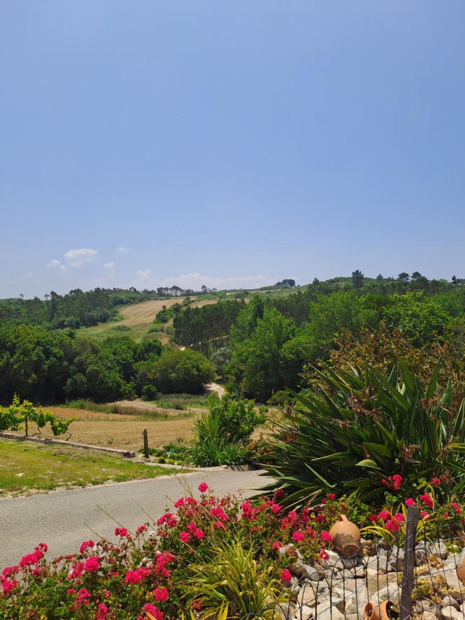 Quinta Da Fonte - Casa Da Charrete Villa กัลดัส ดา ไฮน์ญา ภายนอก รูปภาพ